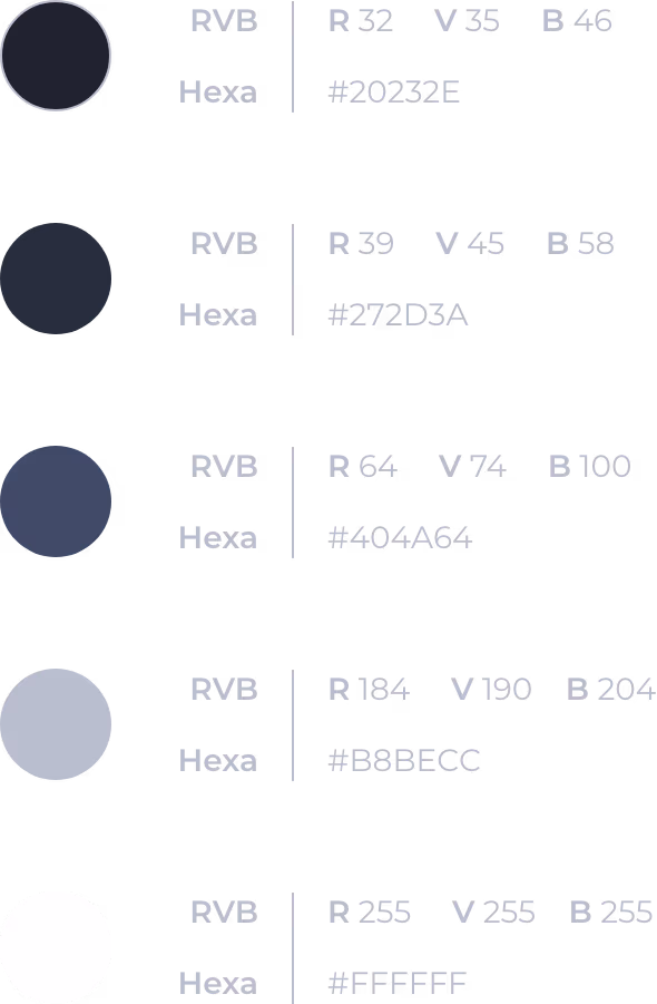 Palette de couleurs du mode sombre de l'application métier Apec